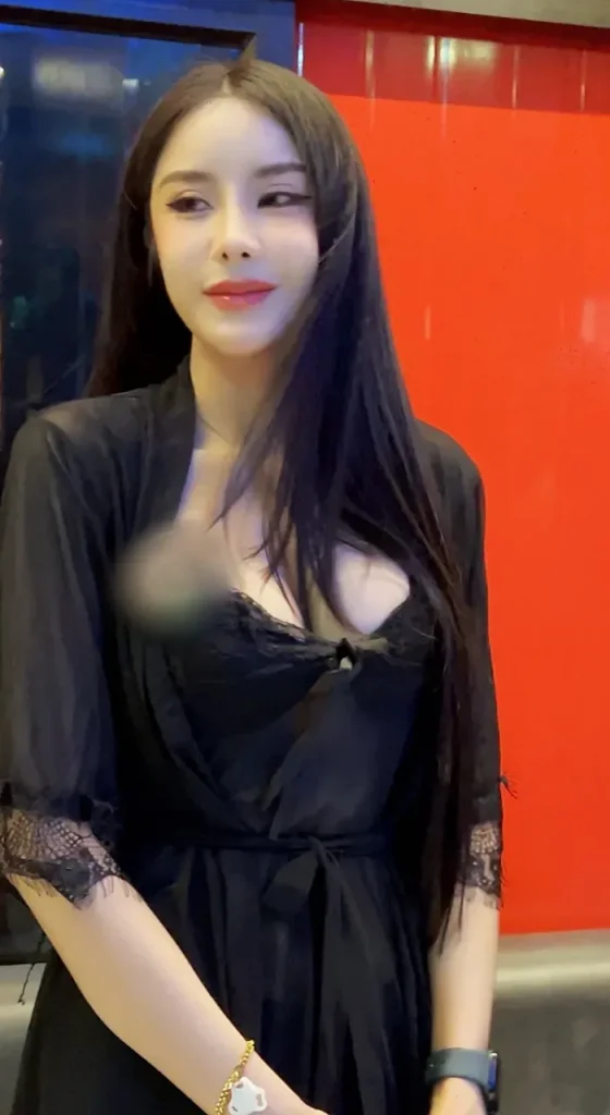 페가수스4